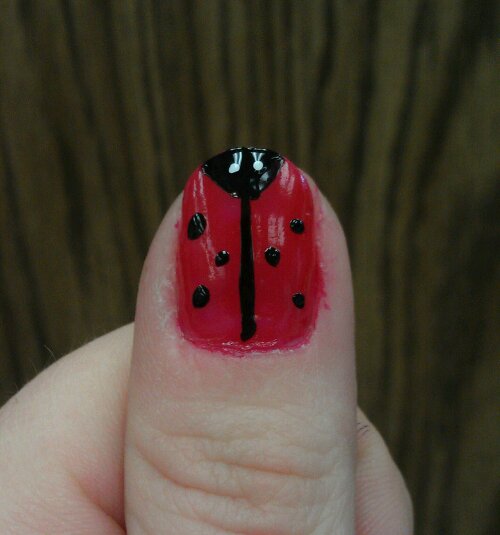 IMAG1263-1.jpg image