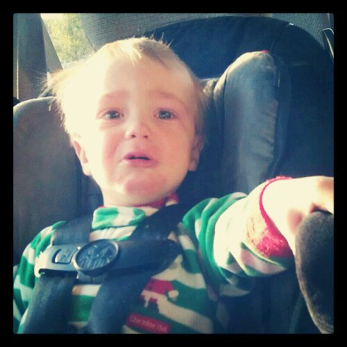 IMG_20120424_213222.jpg image